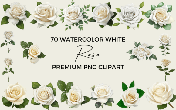 70 Watercolor White Rose PNG Clipart: A Versatile Asset for Creative Projects