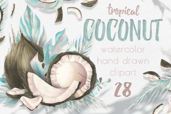 Coconuts, Tropical Leaves Watercolor