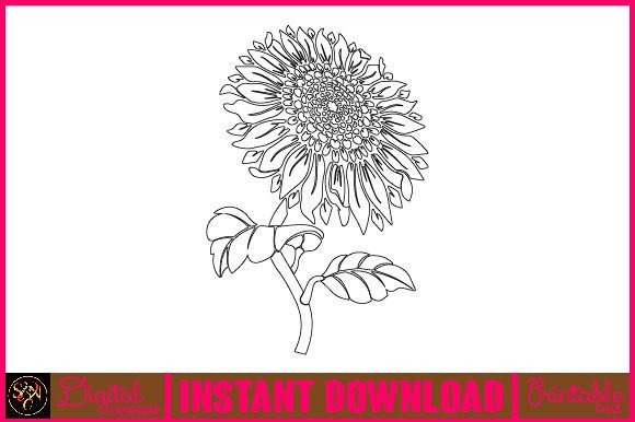Sunflower Line Art Flower SVG Elements 2