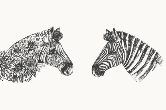 Zebra Head: Creative Inspiration for Design and Art